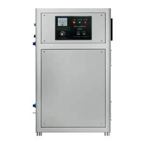 Hoge Desinfectie Sterilisatie Ozon Water Systeem Luchtgekoelde Instelbare Timer 40G Ozon Generator Voor Drinkwater Behandeling - Product Image 1