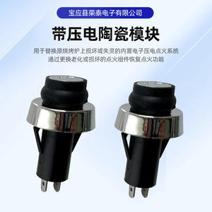 Rongtai Gas Ignition Device PBS-110 <b>Push</b> <b>Button</b> <b>Switch</b> 50x50mm For Water Heater Parts Manual Operation - Product Image 4