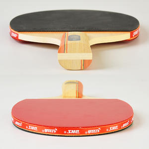 DHS 1 Estrella <span class=keywords><strong>Ping</strong></span> <span class=keywords><strong>pon</strong></span> G Paddle raqueta de tenis de mesa profesional - Product Image 5