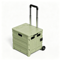 Chariot de camping pliable, chariot de courses et de rangement robuste en plastique, chariot pliant avec panier de rangement amovible pour articles divers