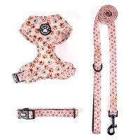Ensemble Harnais et Laisse pour Chien à Motif Patte Réglable avec Conception Personnalisée, Matière Respirante, Vente Directe Usine
