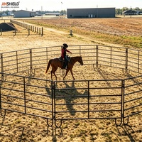 Panneau en acier pour chevaux avec conception de rail de sécurité pour enclos et équipements d'équitation