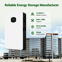 Système de stockage d'énergie solaire tout-en-un 16 kWh 10 kWh, batterie LiFePO4 51,2 V 200 Ah 314 Ah avec onduleur hybride 5 kW pour usage domestique