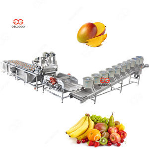 Machine à laver les fruits et légumes automatique sans fil, unité complète de lavage et de découpe des fruits et légumes - Product Image 5