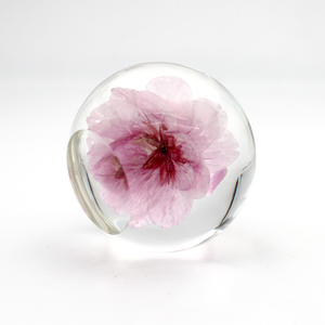 Véritable fleur sèche en résine fleur séchée <span class=keywords><strong>m</strong></span>'a <span class=keywords><strong>oublié</strong></span> pas fleur véritable floral en résine époxy boule de cristal faite à la main - Product Image 6