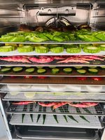 Industriële Commerciële Voedsel Dehydrator/Groente Fruit Drogen Machine Leverancier