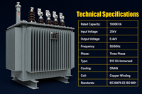 S13 1000kVA Tam Bakır Sargılı Yağlı Tip Güç Trafosu 20kV/0.4kV 3 Faz Enerji Tasarruflu IEC CE