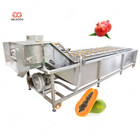 Groente-en Verwerking Apparatuur Pdf Granaatappel Reiniging Aloë Vera Papaya Wasmachine