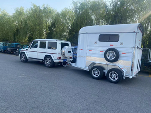 2025 Fabrieksaanbieding Paardenwagen Paardentrailer voor 2 Paarden ADR's 2000KG Capaciteit 4110x2490x2590MM - Product Image 5