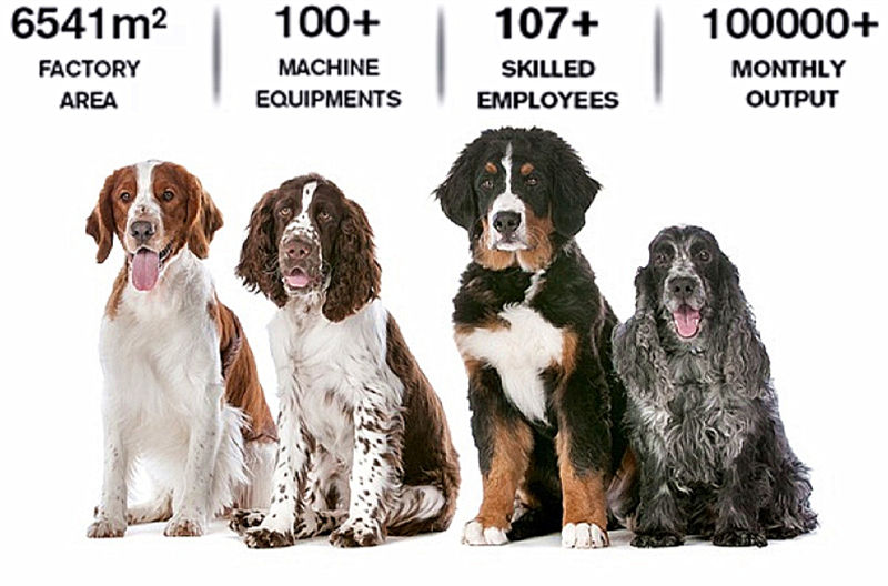 Felpa Con Cappuccio Per Cani A Forma Di Rana - Costume Invernale Per Animali 9-12 Libbre - Foto 7