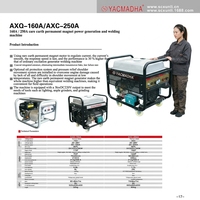 YACMADHA AXQ-160A Seltene Erden Permanentmagnet-Schweißgenerator DC220V Tragbare Benzin-Stromversorgungseinheit Elektrischer/Handstart für