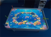 Table interactive tactile BHG AR avec projecteur personnalisable pour jeux d'amusement et d'art magique pour enfants