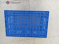 Caisses de stockage et de logistique pour fruits et légumes LYPALLETS, caisses à légumes de qualité alimentaire, caisses en plastique pliables/paniers