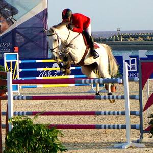 Arena Kullanımı ve Profesyonel Eğitim Programları için Sağlam Çerçeveli Üst Düzey Binicilik Engel Parkuru Atlama - Product Image 5