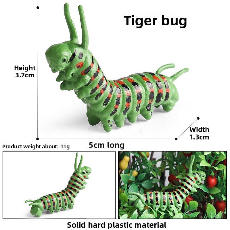 Tiger Worm-3016