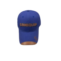 Gorra de Béisbol Personalizada de 6 Paneles, 100% Algodón, con Logotipo Bordado, Venta al Por Mayor, Visera Curva, Cierre de Gancho y Bucle