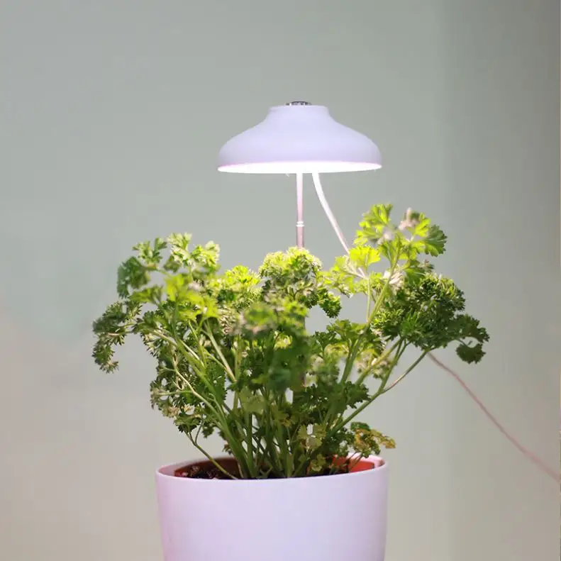 Lampe de culture intérieure intelligente en bois, 2022, 1 pièce, kit pour plantes de jardin, hydroponique, maison