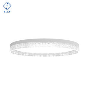 Lámpara de Techo LED de Estilo Contemporáneo y Simple, Redonda, para Sala de Estar, Dormitorio, Oficina, Interior del Hogar - Product Image 2