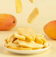 100% Natuurlijk Vriesgedroogd Mango Fruit Premium Kwaliteit Zoete Vriesgedroogde Mango