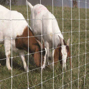 Il prezzo basso ha galvanizzato la recinzione della rete metallica della prateria del bestiame/ovini/campo/recinzione della fattoria dei cervi