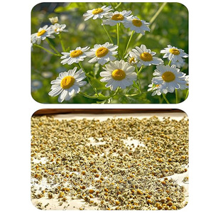 <span class=keywords><strong>Tisane</strong></span> Minceur aux Fleurs <span class=keywords><strong>de</strong></span> Calendula et Camomille, Sachets <span class=keywords><strong>de</strong></span> Thé Parfumé aux Pétales <span class=keywords><strong>de</strong></span> Chrysanthème Broyés, Boîte en Vrac pour Infusion - Product Image 2