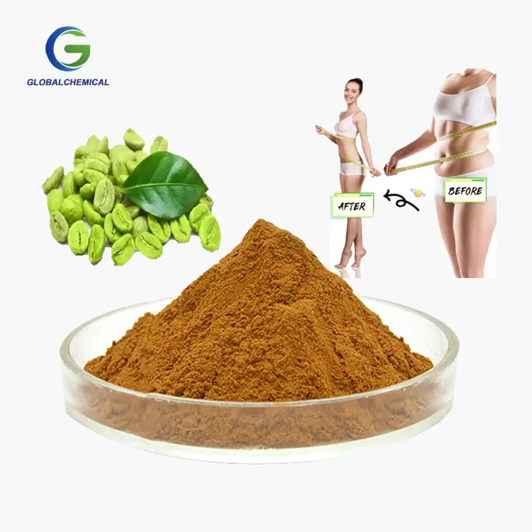 pure Natural green coffee bean extract 50% 98% chlorogenic acid food grade Chlorogenic Acid powder