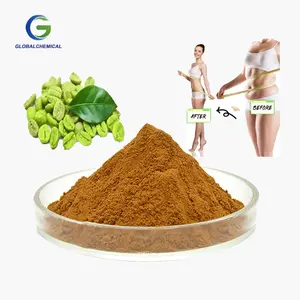 Tinh khiết tự nhiên màu xanh lá cây chiết xuất hạt cà phê 50% 98% axit chlorogenic thực phẩm lớp chlorogenic Bột axit