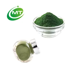 Factory Supply Natural Fördern Sie ein gesundes Chlorella-Pulver