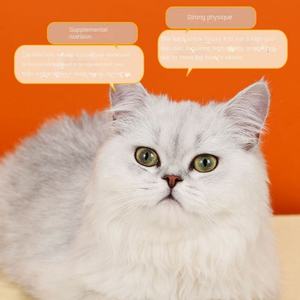 Friandises Biologiques Lyophilisées pour Chats : Viande de Poulet, Grains, Œufs de Caille, Poisson Jaune Séché, Nutrition pour l'Engraissement et la Santé des Poils - Product Image 4
