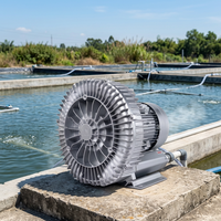 Pompe à vide à anneau soufflant 5,5 kW pour une oxygénation efficace des systèmes d'aquaculture et d'élevage de poissons en bassin