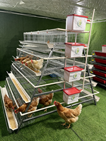 Nouvelle cage à poulets de type A à 4 niveaux, galvanisée à chaud, résistante à la rouille, durée de vie de 20 ans, capacité de 160 oiseaux, durable, longue durée de service