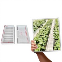 Nouveau type de moule pour couverture de jardin potager, dalle de ciment bleu pour allée et trottoir, pavage de cour en plastique moulé par injection