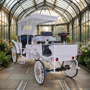 รถม้าไฟฟ้าแบบเปิดประทุนสีขาว 6 ที่นั่ง สำหรับงานแต่งงานและท่องเที่ยว ขาย - Product Image 1