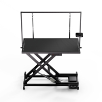 Table de toilettage électrique pour animaux de compagnie, prix d'usine, OEM ODM personnalisé