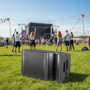 Sistema de Sonido de Alta Calidad 2026, Altavoz <span class=keywords><strong>Line</strong></span> <span class=keywords><strong>Array</strong></span> de Neodimio de 12 Pulgadas y 2 Vías para Exteriores, 800W RMS, Pasivo/Activo para Escenarios - Product Image 2