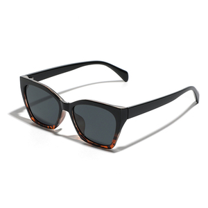 Lunettes de soleil tendance, dernières nouveautés pour femmes, lunettes de soleil polarisées TR90 pour hommes, lunettes de soleil œil de chat de luxe 2026, logo personnalisé - Product Image 3