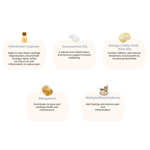 Compléments à croquer souples pour chiens seniors : Glucosamine, MSM, Chondroïtine, Curcuma – Soulagement de l'arthrite et des douleurs articulaires – Marque Blanche, Vente en Gros - Product Image 3