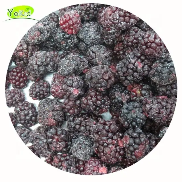 Iqf Fruit Bulk Package Export Standard Export Standard China Black Berries IQF Frozen Blackberry Fruits