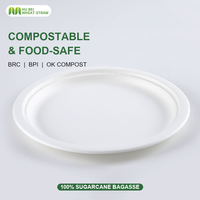 Assiettes jetables carrées en bagasse biodégradable 10''x10'', 100% écologiques, certifiées BPI, style moderne, marque Wheat-Straw