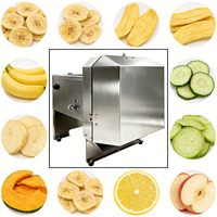 Industriële elektrische snijmachine 130 tpm 96W 220V CE voor fruit- en bananenchipsfabrieken in Europa, hogesnelheidssnijder