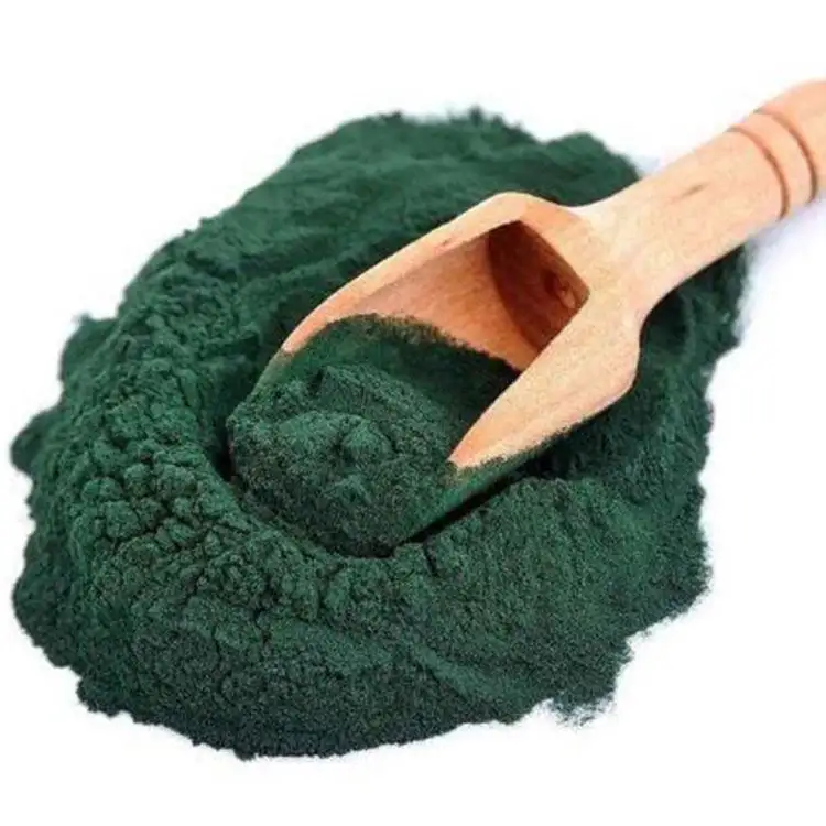 Chlorella Inclusief Eiwit En Chlorofyl Etc. Voor Uw Familie Gezondheid Made In Japan Gezonde Japanse Moeder Mooi Lichaam