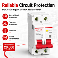 Disjoncteur haute intensité DZ47v-125 MCB 1P 2P 3P 4P 63A 80A 100A 125A 230V 400V AC 10kA Courbe C D Rail DIN