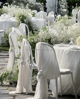 Chaise empilable en bois courbé blanc gracieux pour les mariages en plein air pour les hôtels
