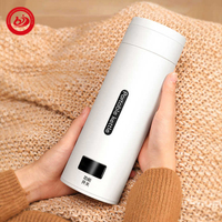 Tasse à eau intelligente portable, tasse thermique électronique en acier inoxydable avec couvercle anti-fuite, idéale pour le camping et la voiture, bouilloire à thé sécurisée