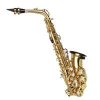 Hot Sale Professional Brass Lacquered Gold Alto Saxophone Eb Key Woodwind Instrument Saxophone with Accessories