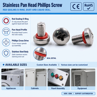 Vis à tête fraisée Phillips SUS304 316 pour assemblage de panneaux et appareils, avec joint torique rouge pour une étanchéité supérieure, fournie directement par l'usine