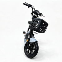 Vélo Électrique Urbain Double Siège pour Adultes de Haute Qualité – Vélo Électrique de Commutation pour 2 Personnes – Offre Spéciale