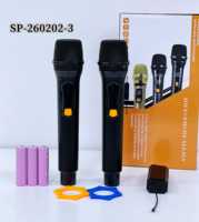 Système de microphone sans fil UHF professionnel, double micro portable avec récepteur pour karaoké, fête, performance live