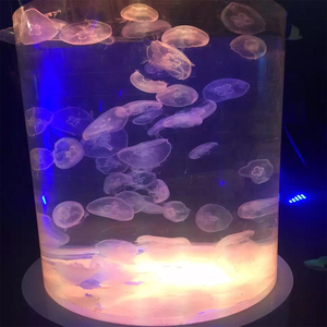 Nouveaux produits de conception, aquarium cylindrique en acrylique coulé pour la décoration de la maison - Product Image 2