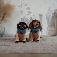 Vêtements pour chiens personnalisés. Pull pour chien rétro confortable et chaud pour l'hiver. Pull en laine d'agneau doux et épais. Convient pour le teckel Noël